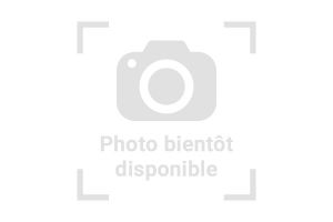 Furcifer pardalis, Nosy Mitsio, mâle adulte